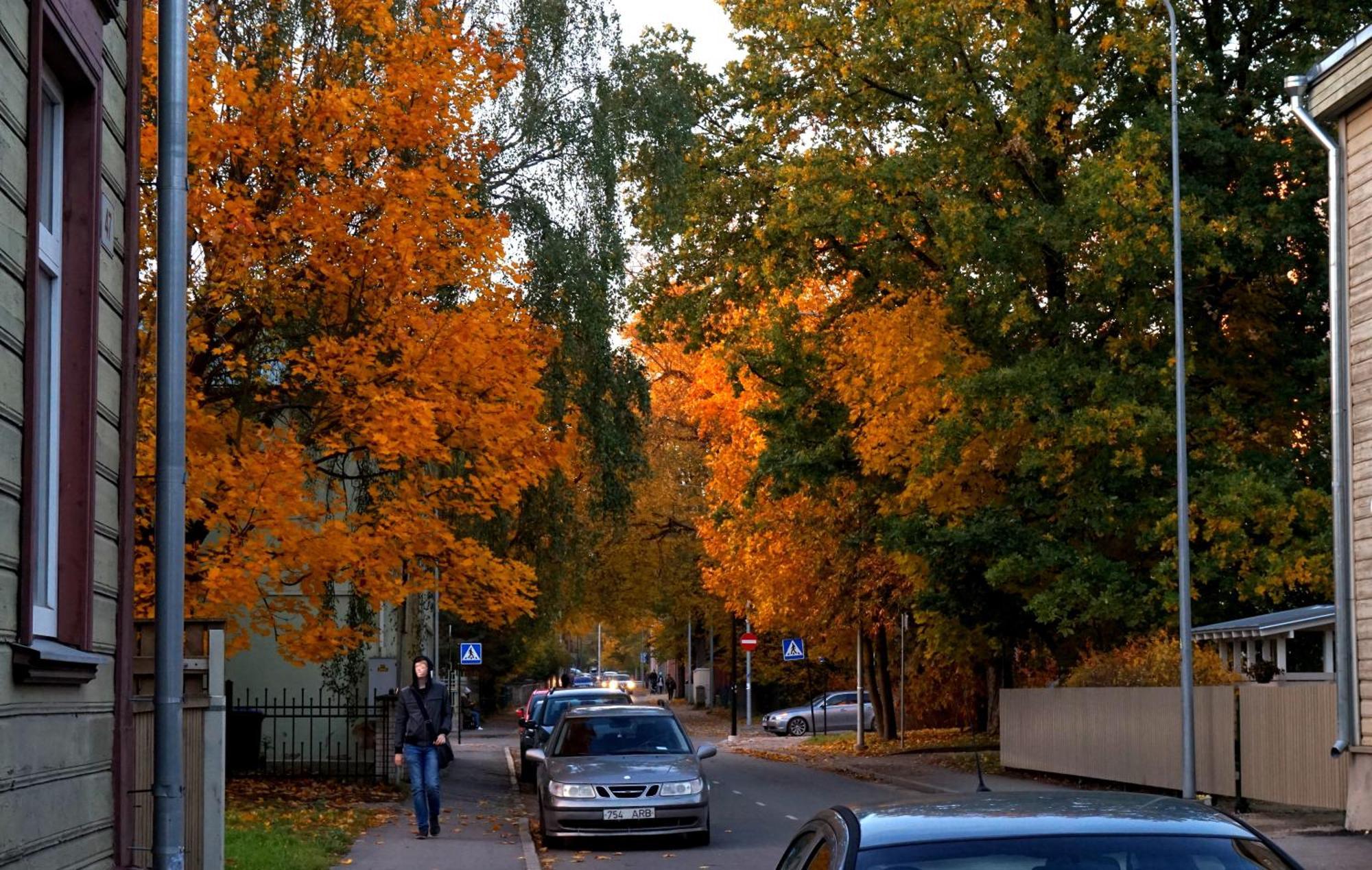 Quiet Romantic Studio Plus Parking, Tartu Home Exteriér fotografie